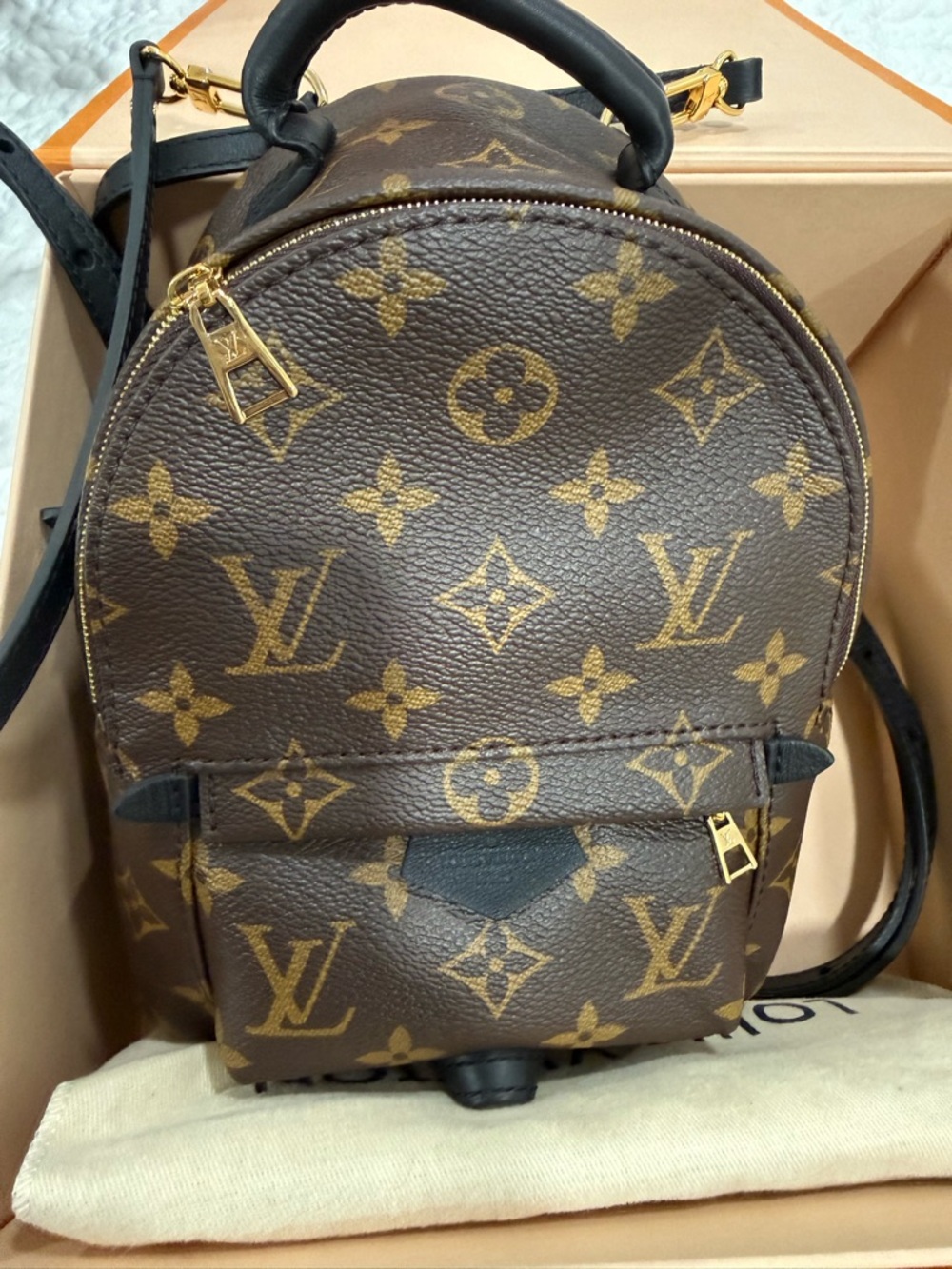 Louis Vuitton Palm Springs Mini Backpack **Updated Zipper Version**